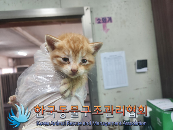 한국동물구조관리협회_441406202401825